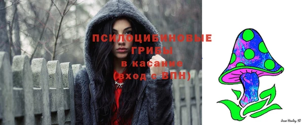 гидропоника Елабуга