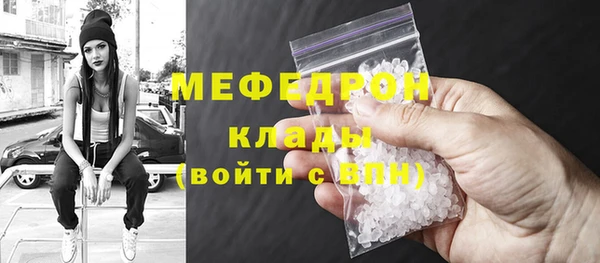 индика Ельня
