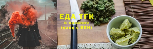 индика Ельня