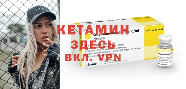 индика Ельня