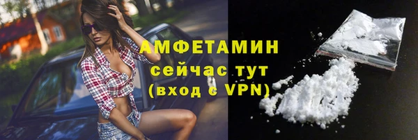 индика Ельня