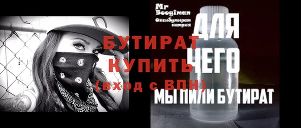 индика Ельня