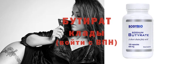 индика Ельня