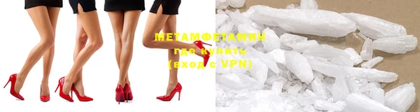индика Ельня