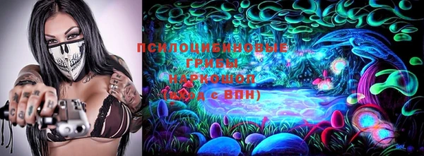 индика Ельня