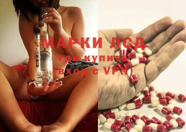 индика Ельня
