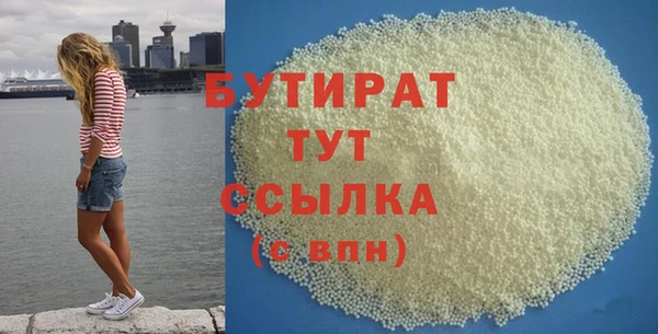 индика Ельня