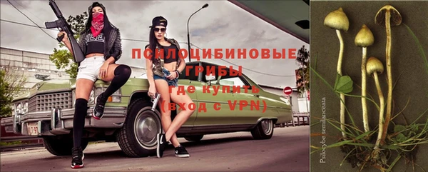 гидропоника Елабуга