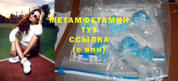 индика Ельня