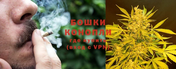 гидропоника Елабуга
