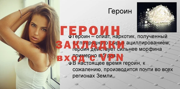 индика Ельня