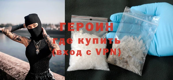 индика Ельня