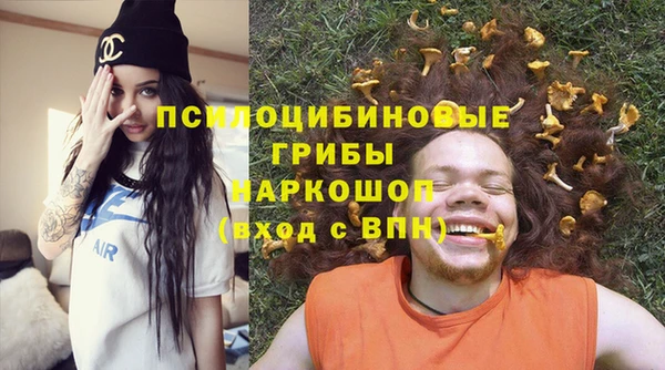 ALPHA-PVP Елизово