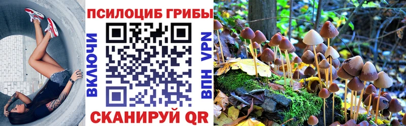 Галлюциногенные грибы Cubensis  Шахунья 